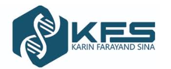 KARIN FARAYAND SINA